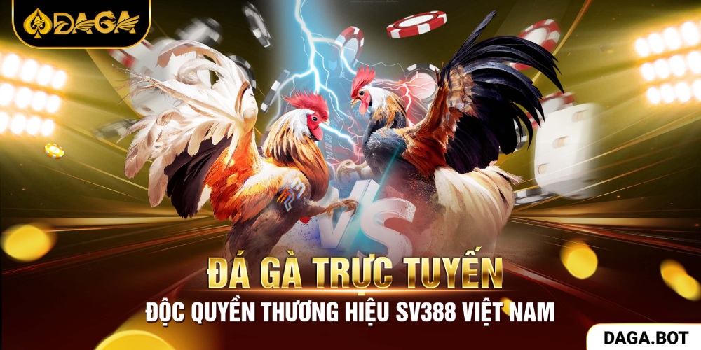 Đá gà trực tiếp độc quyền Việt Nam