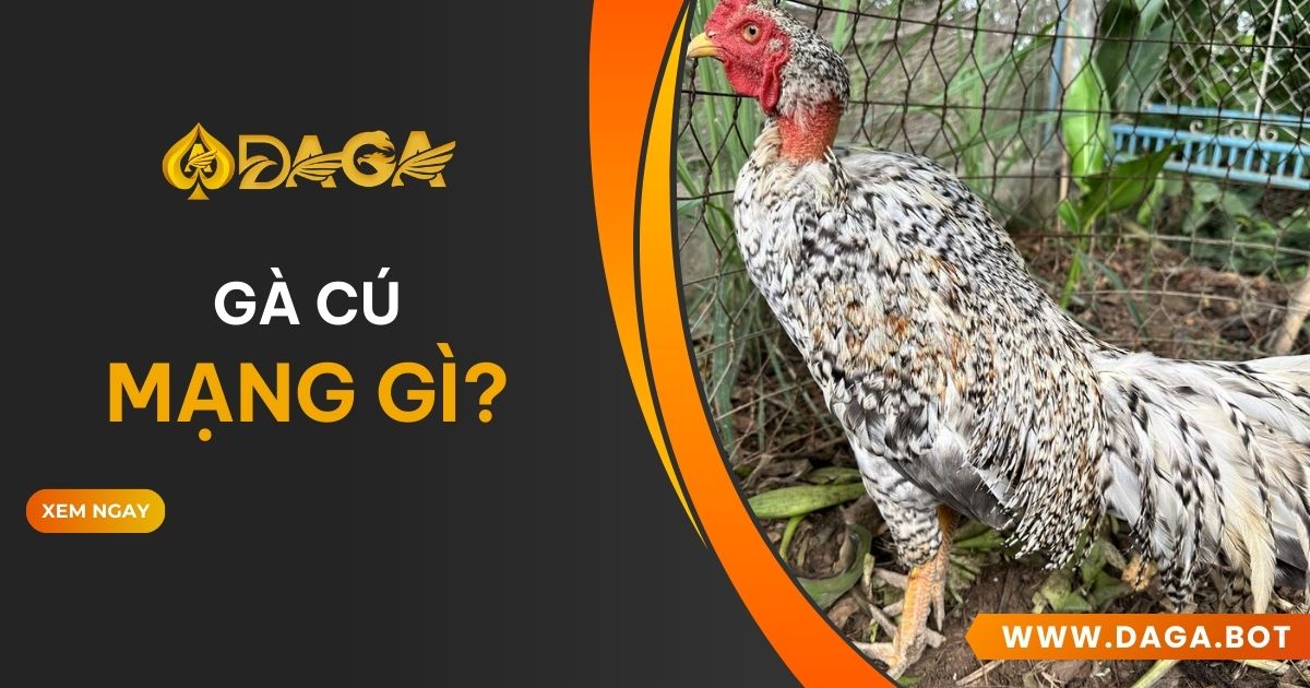 Gà cú mạng gì?